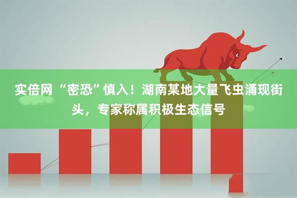 实倍网 “密恐”慎入！湖南某地大量飞虫涌现街头，专家称属积极生态信号