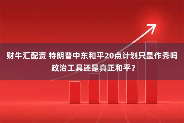 财牛汇配资 特朗普中东和平20点计划只是作秀吗 政治工具还是真正和平？