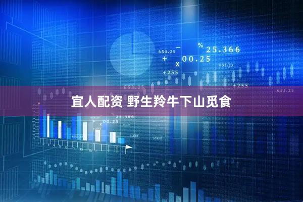 宜人配资 野生羚牛下山觅食