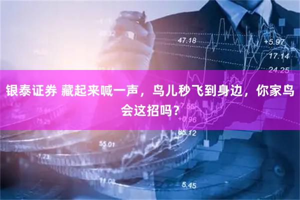 银泰证券 藏起来喊一声，鸟儿秒飞到身边，你家鸟会这招吗？