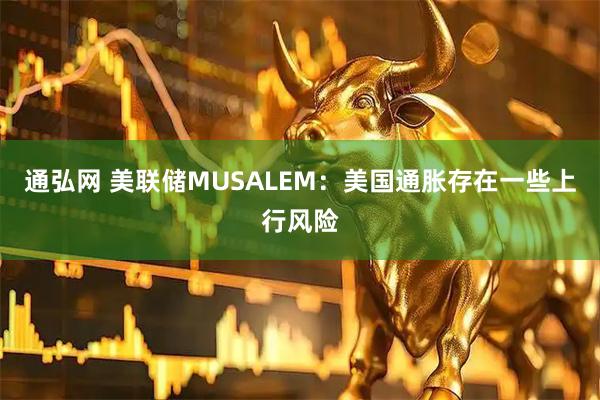 通弘网 美联储MUSALEM：美国通胀存在一些上行风险