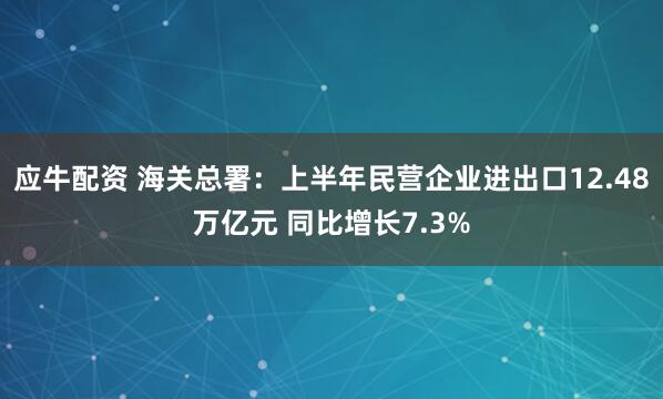 应牛配资 海关总署：上半年民营企业进出口12.48万亿元 同比增长7.3%