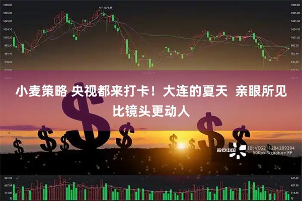 小麦策略 央视都来打卡！大连的夏天  亲眼所见比镜头更动人